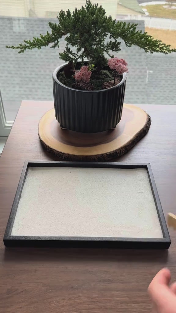 Mini jardin en sable zen